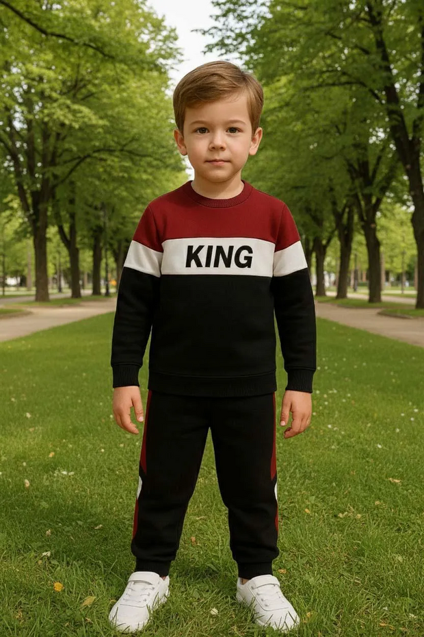2 Pcs Boys Fleece Printed Sweatshirt Tracksuit