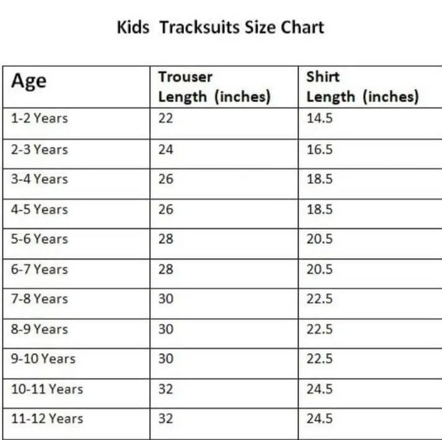 2 Pcs Boys Fleece Printed Sweatshirt Tracksuit