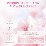 Sakura Skincare Set – Face Cream, Serum & Toner Gift Box