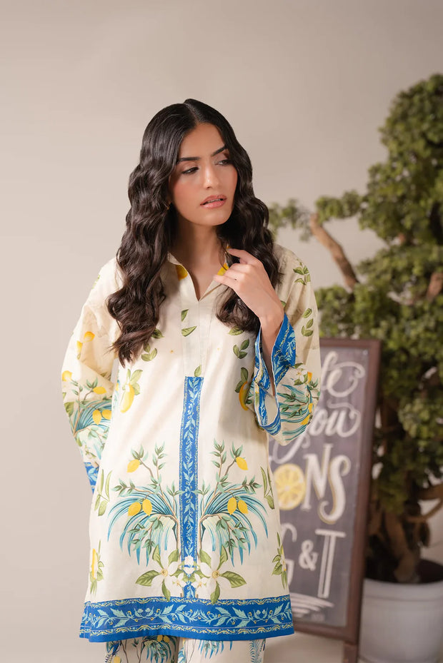 2 Piece Printed Lawn Suit